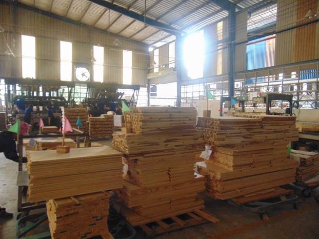 COVID-19 đe dọa mục tiêu xuất khẩu 12,5 tỷ USD của ngành gỗ covid 19 de doa muc tieu 12 ty usd cua nganh go