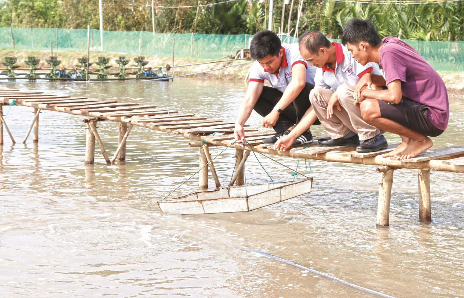 thuc day noi lai bao hiem nong nghiep
