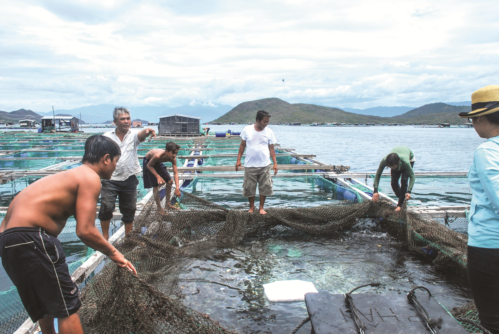 Thay đổi để thích ứng với EVFTA