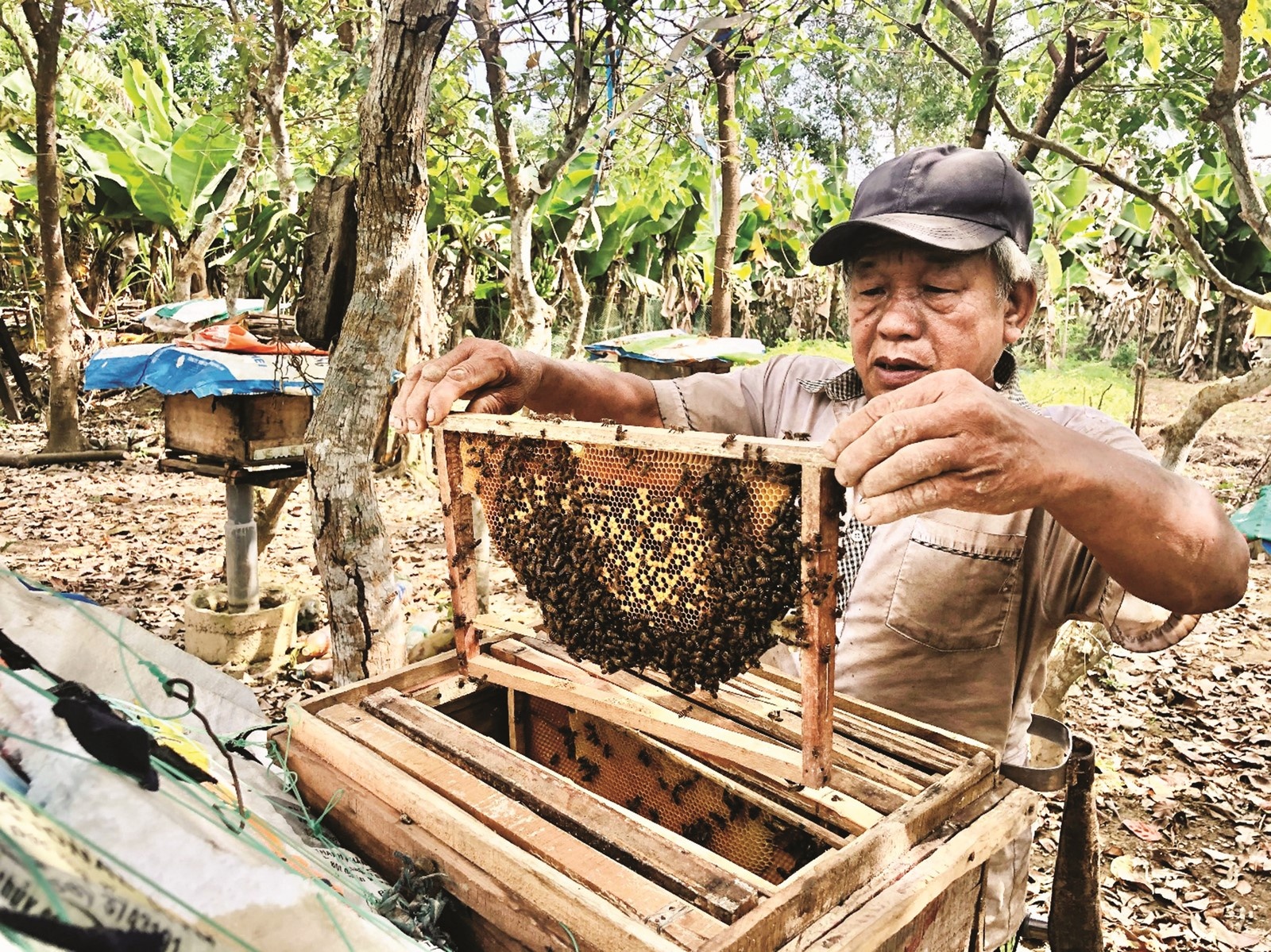 Chính sách cho vay hộ mới thoát nghèo: Hướng tới sinh kế bền vững Chính sách cho vay hộ mới thoát nghèo: Hướng tới sinh kế bền vững