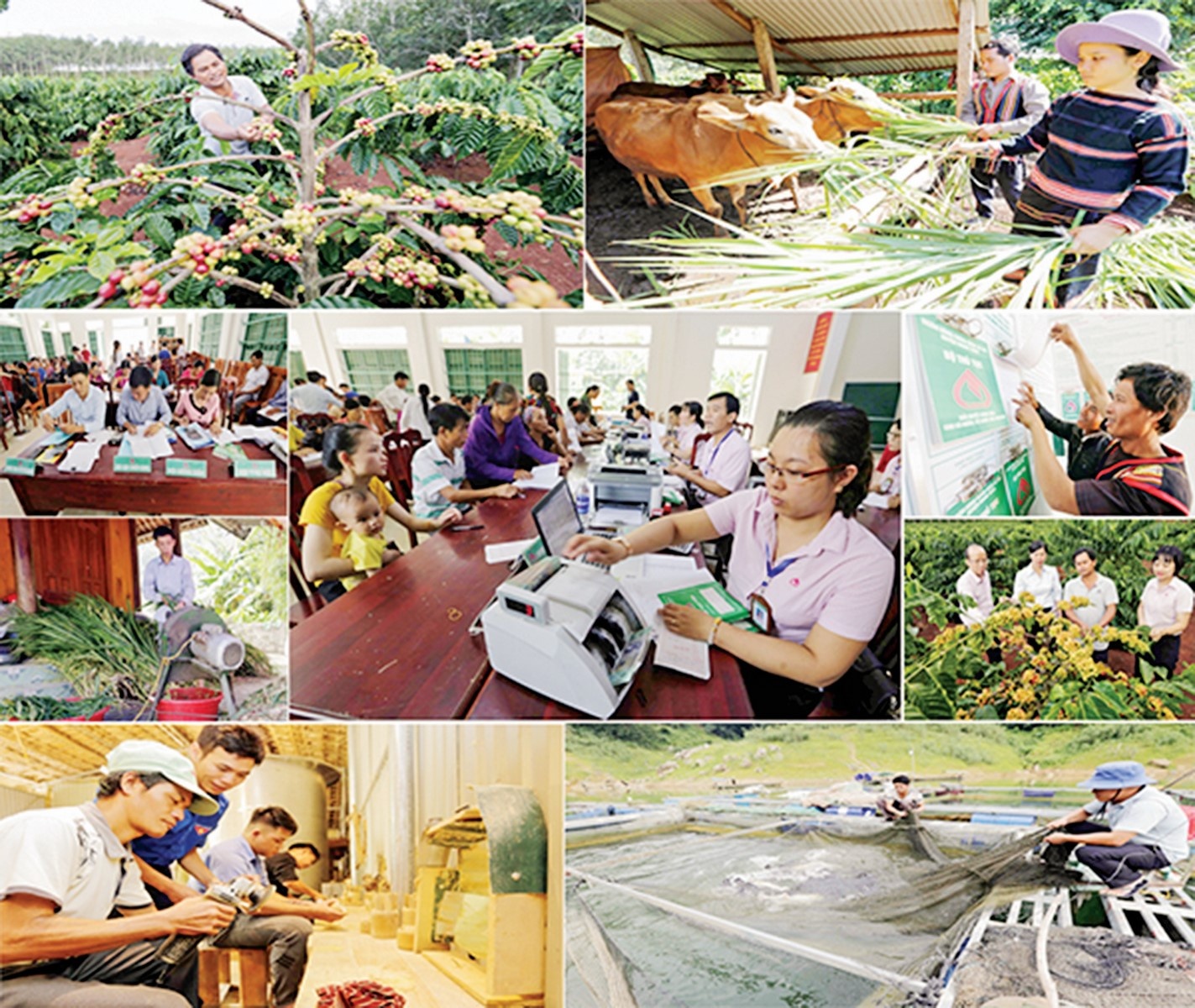 Ngân hàng Chính sách xã hội: 17 năm đồng hành cùng người nghèo Ngân hàng Chính sách xã hội: 17 năm đồng hành cùng người nghèo