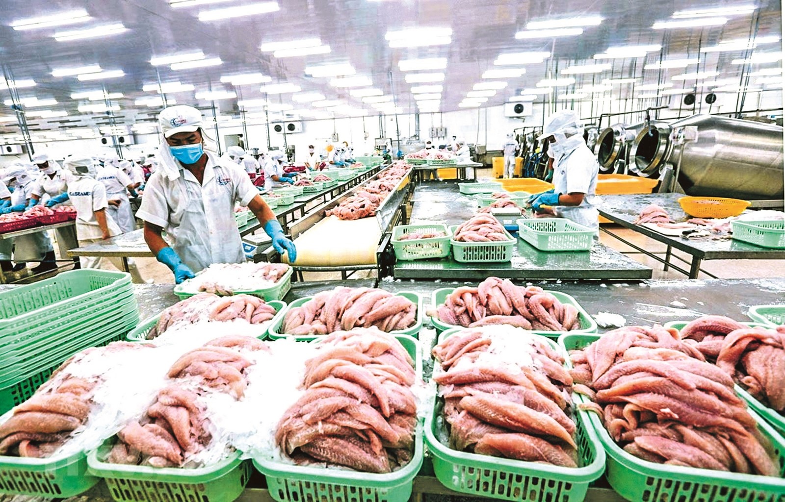 Xuất khẩu sang EU nhờ EVFTA: Cơ hội lớn nhưng khởi đầu sẽ chật vật