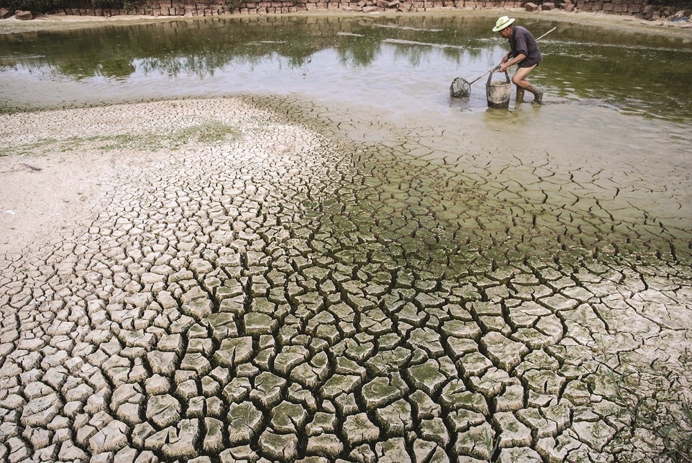 Đồng bằng Sông Cửu Long: Giảm thiểu tối đa khó khăn do hạn mặn