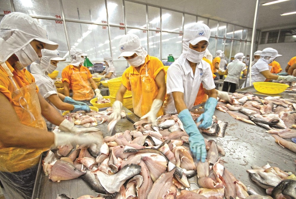 Chuẩn bị hành trang lên cao tốc EVFTA