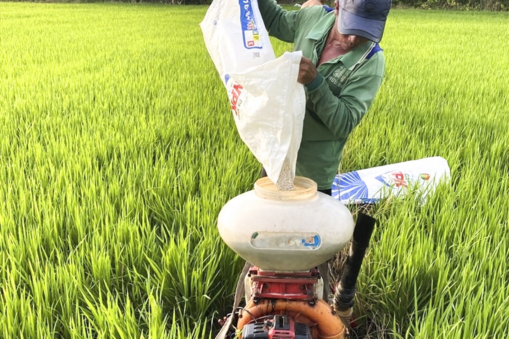 gia phan bon tang tac dong manh den san xuat