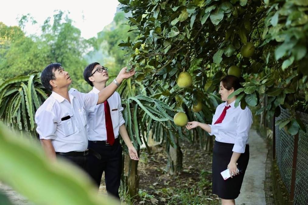 agribank voi hanh trinh khang dinh vai tro la tru do cua nen kinh te