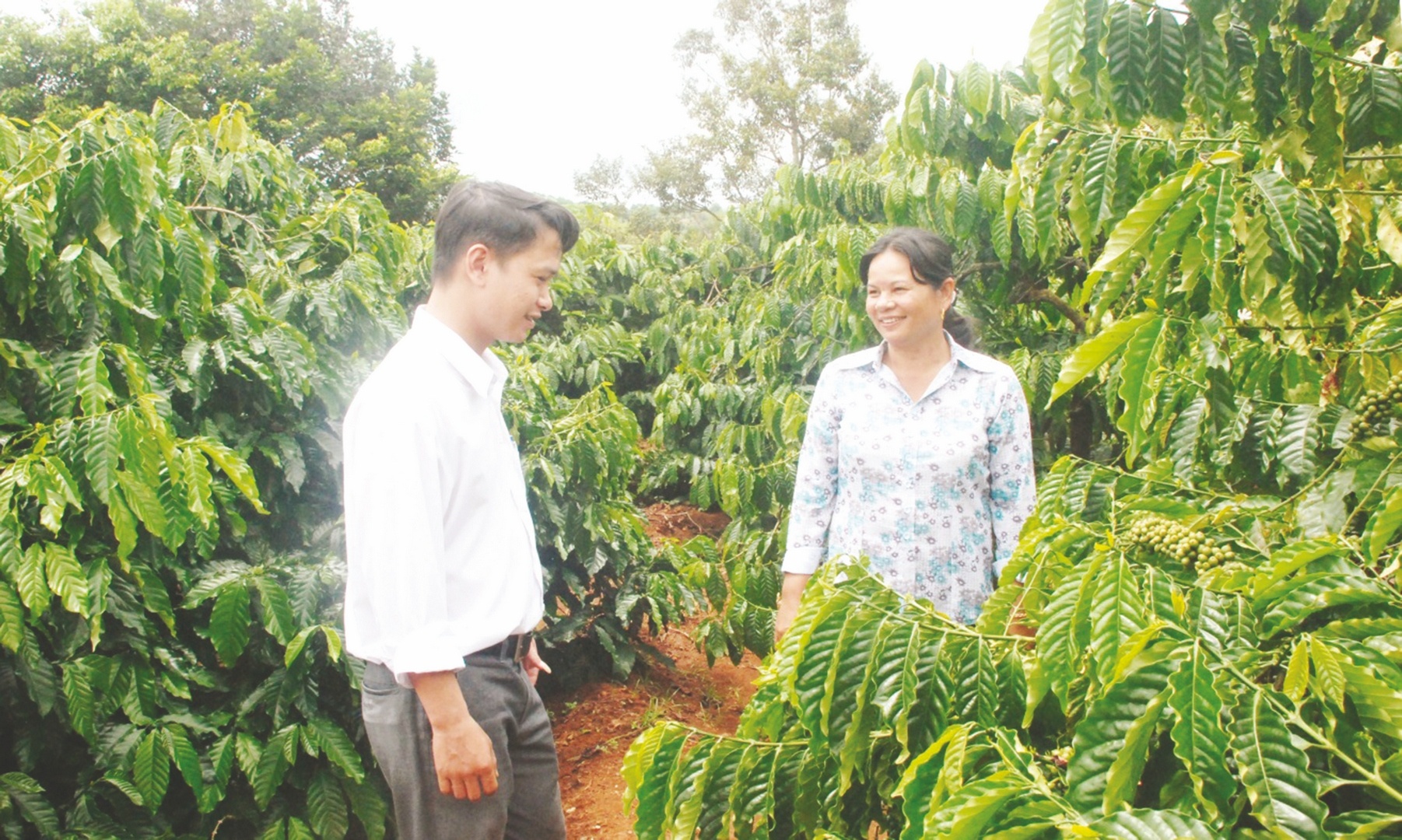 kon tum kip thoi dap ung nhu cau von cho khach hang