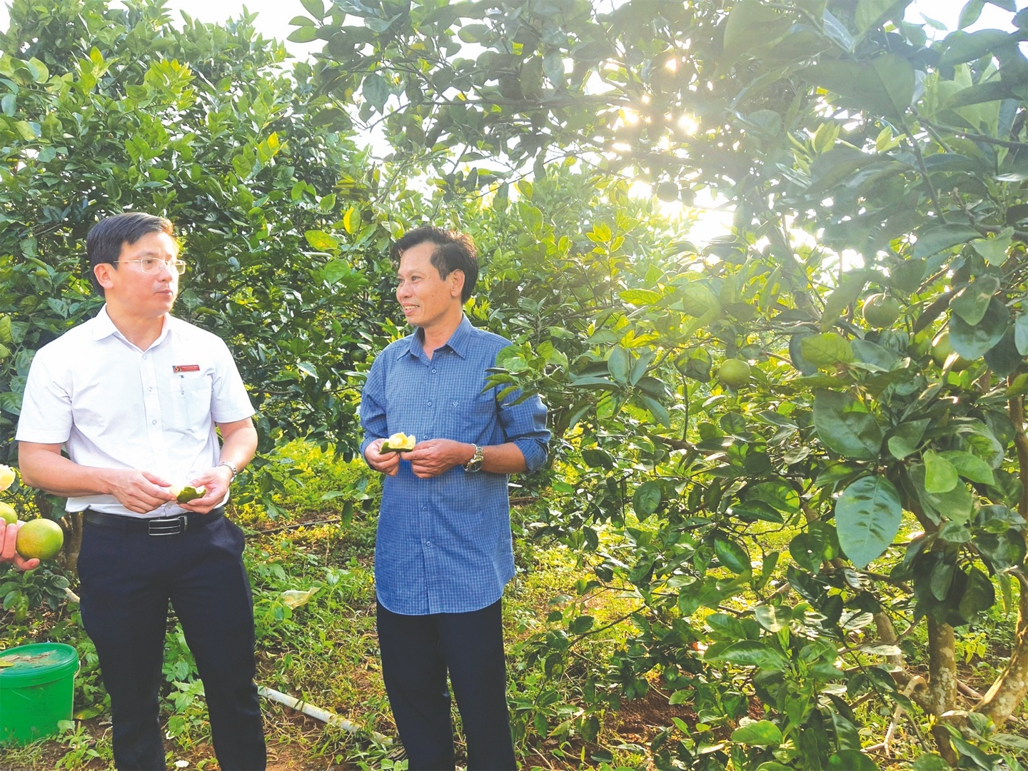 them nhieu ty phu chan dat nho von agribank