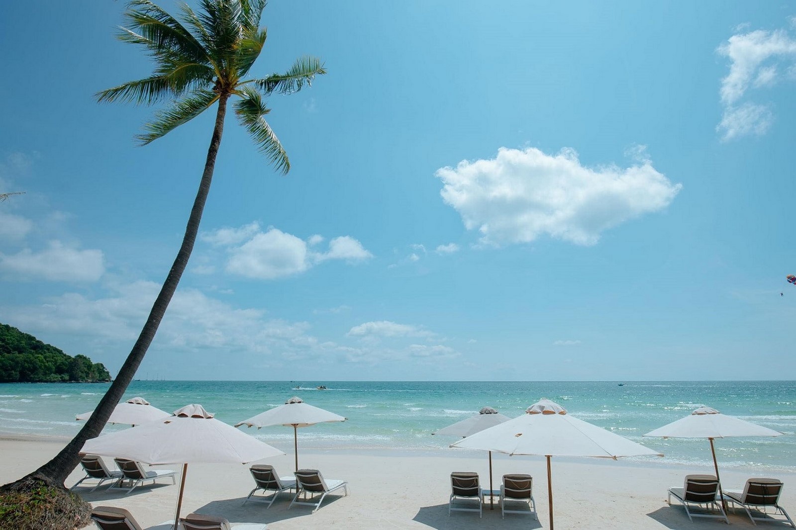 bai sao phu quoc vi ngoi sao sinh ra de toa sang