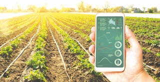 Ứng dụng AI vào nông nghiệp: Kỳ vọng và thách thức
