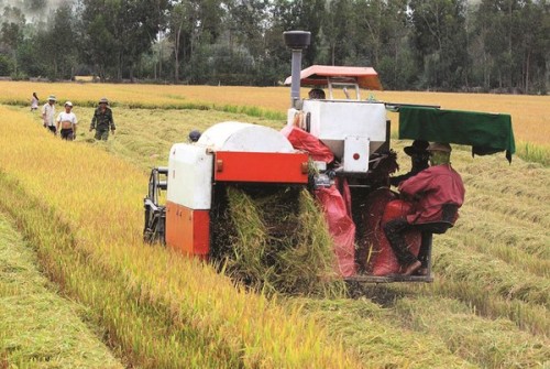 Cần đa dạng hóa tín dụng nông thôn