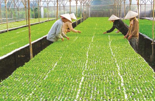 Tín dụng nông nghiệp cần đòn bẩy