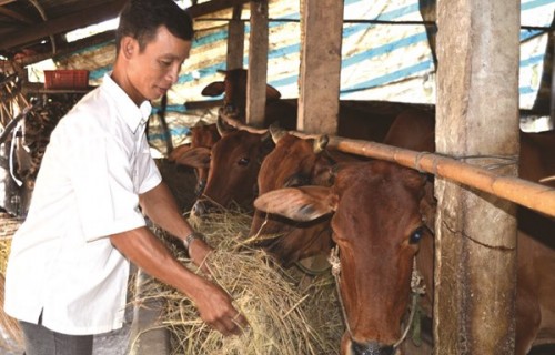 Chúng tôi “chơi” với nông dân…