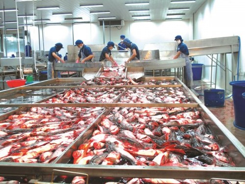 Agribank chi nhánh Đồng Tháp: Sẵn sàng làm ăn lớn cùng nông dân