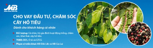MB triển khai sản phẩm dành riêng cho cây hồ tiêu
