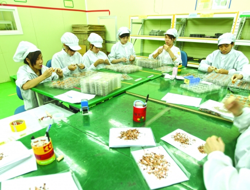 Thu hút FDI, Việt Nam cần nhiều cải thiện hơn Thu hút FDI, Việt Nam cần nhiều cải thiện hơn