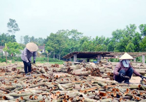 Hiệu quả tín dụng chính sách tại vùng mỏ Quảng Ninh