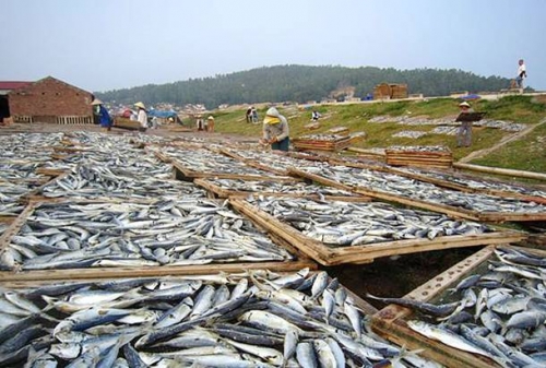 Vốn vay ưu đãi giúp thoát nghèo ở xứ Thanh Vốn vay ưu đãi giúp thoát nghèo ở xứ Thanh