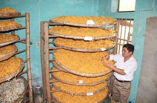 Vốn vay ưu đãi giúp thoát nghèo ở xứ Thanh Vốn vay ưu đãi giúp thoát nghèo ở xứ Thanh