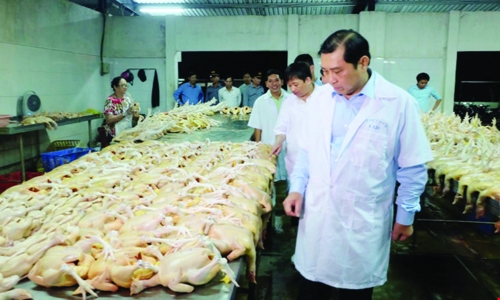 Cần đảm bảo an toàn cho du khách Cần đảm bảo an toàn cho du khách