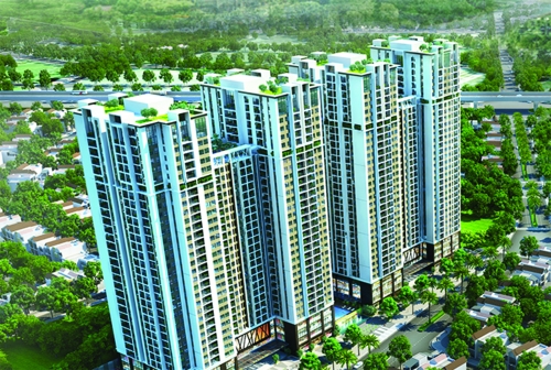 Tập đoàn GFS với khát vọng 