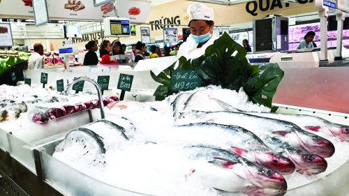 Xu hướng tỷ giá giúp xuất khẩu tự tin