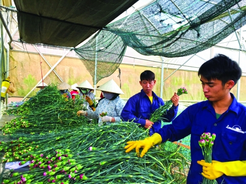 Lớn mạnh cùng đất Nam Tây Nguyên