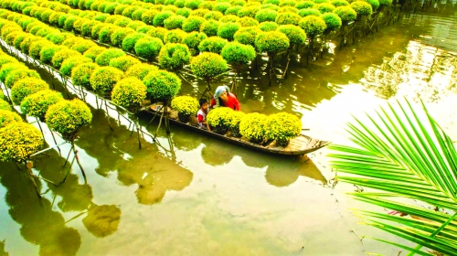 Agribank Bến Tre: Góp phần phát triển kinh tế địa phương