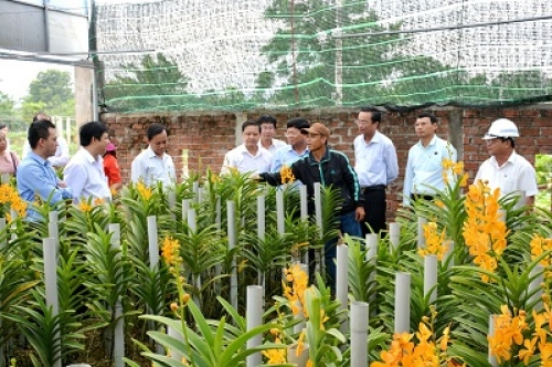Đà Nẵng đầu tư nhiều nguồn lực cho nông nghiệp công nghệ cao