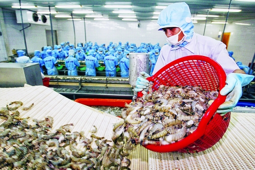 Doanh nghiệp ngành tôm chịu áp lực cạnh tranh