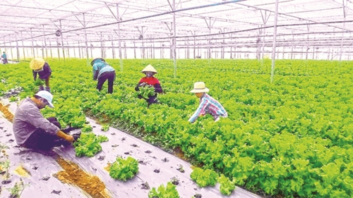 Sản phẩm đạt chuẩn mới tiêu thụ mạnh Sản phẩm đạt chuẩn mới tiêu thụ mạnh