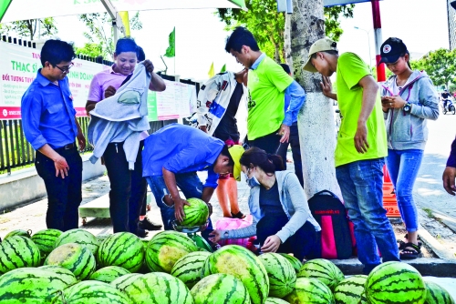 Chủ động dán tem truy xuất nguồn gốc Chủ động dán tem truy xuất nguồn gốc