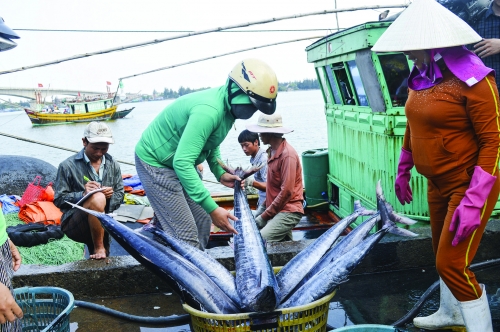 Gỡ “thẻ vàng” đối với hải sản Việt Nam: Không để trên nóng dưới lạnh