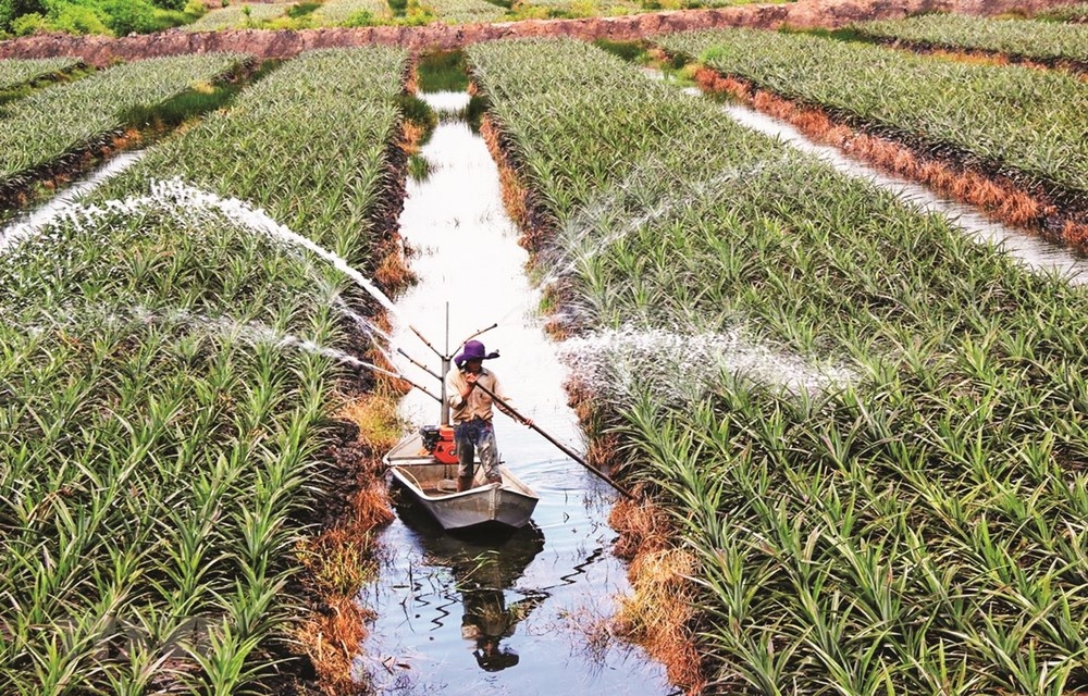 Để xuất khẩu nông nghiệp phát triển bền vững