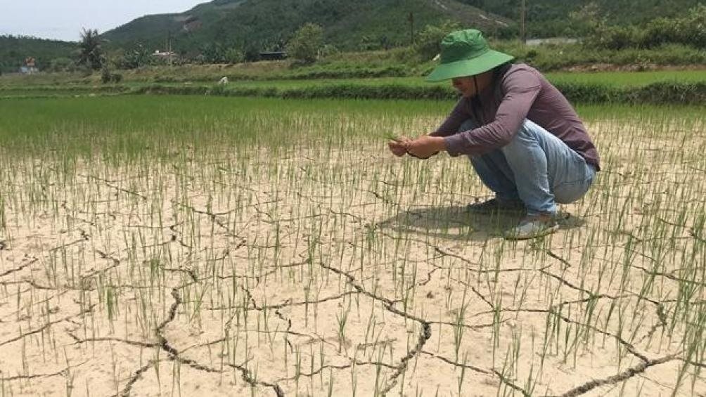 Hỗ trợ 530 tỷ đồng cho 8 tỉnh đồng bằng sông Cửu Long phòng, chống hạn hán, xâm nhập mặn Hỗ trợ 530 tỷ đồng cho 8 tỉnh đồng bằng sông Cửu Long phòng, chống hạn hán, xâm nhập mặn