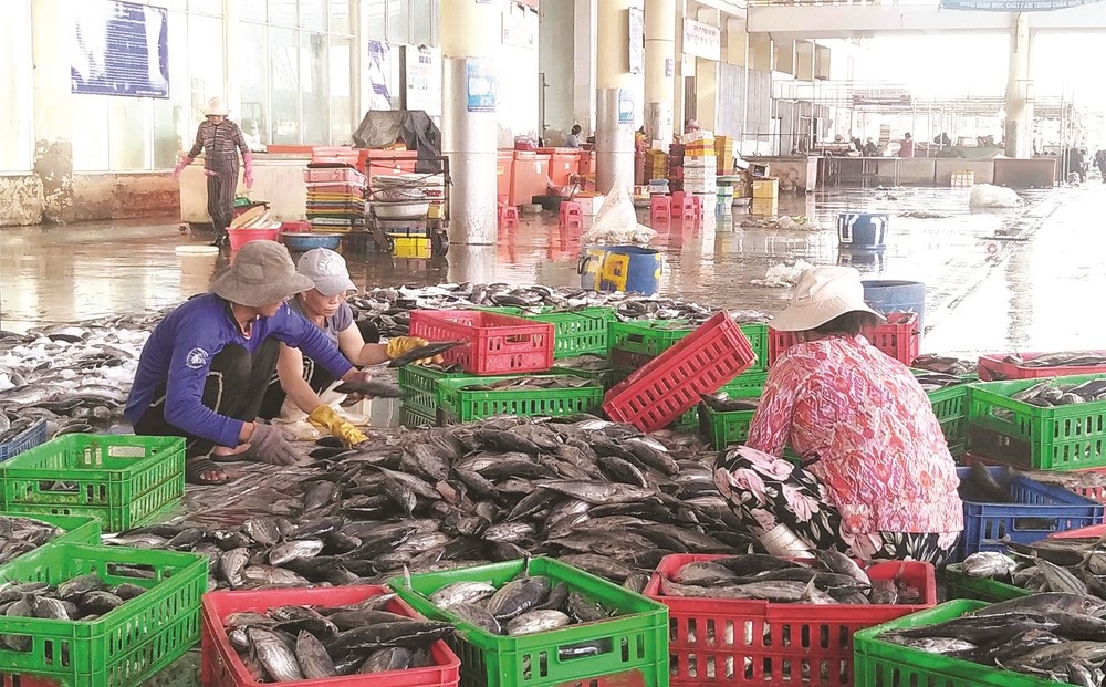 Hải sản rớt giá, ngư dân lao đao