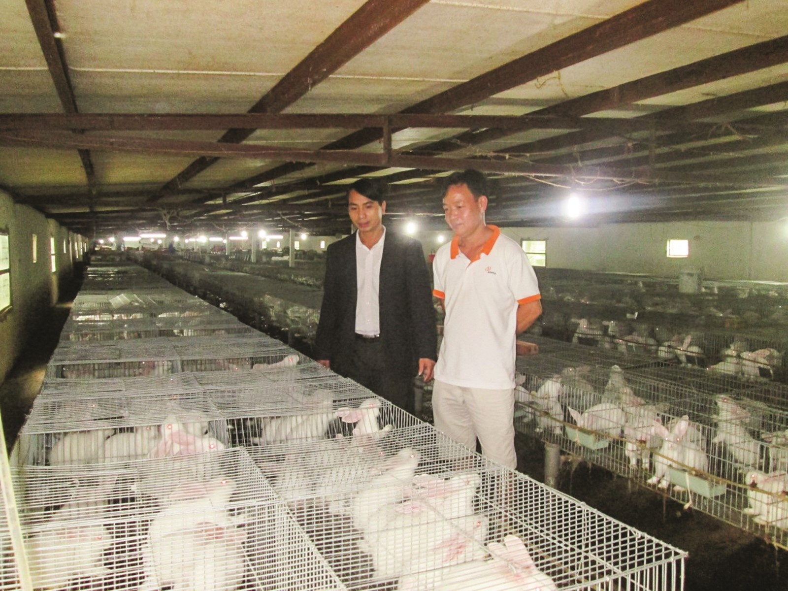 von ho tro tao viec lam giup chuyen huong san xuat hang hoa o nong thon