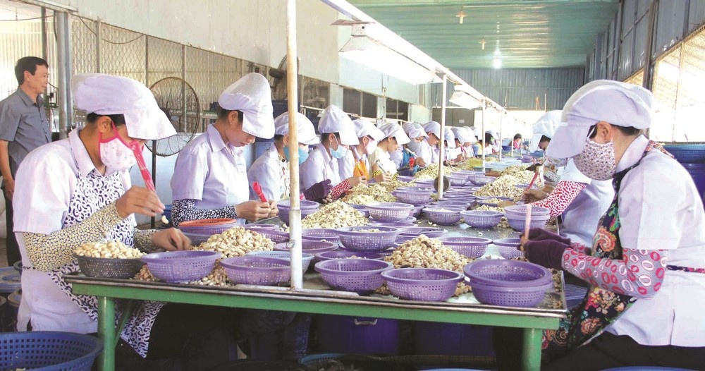 Nâng cao khả năng ứng phó với thị trường