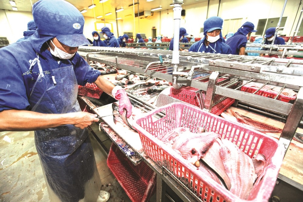 Xuất khẩu thuỷ sản: Kỳ vọng vào EVFTA