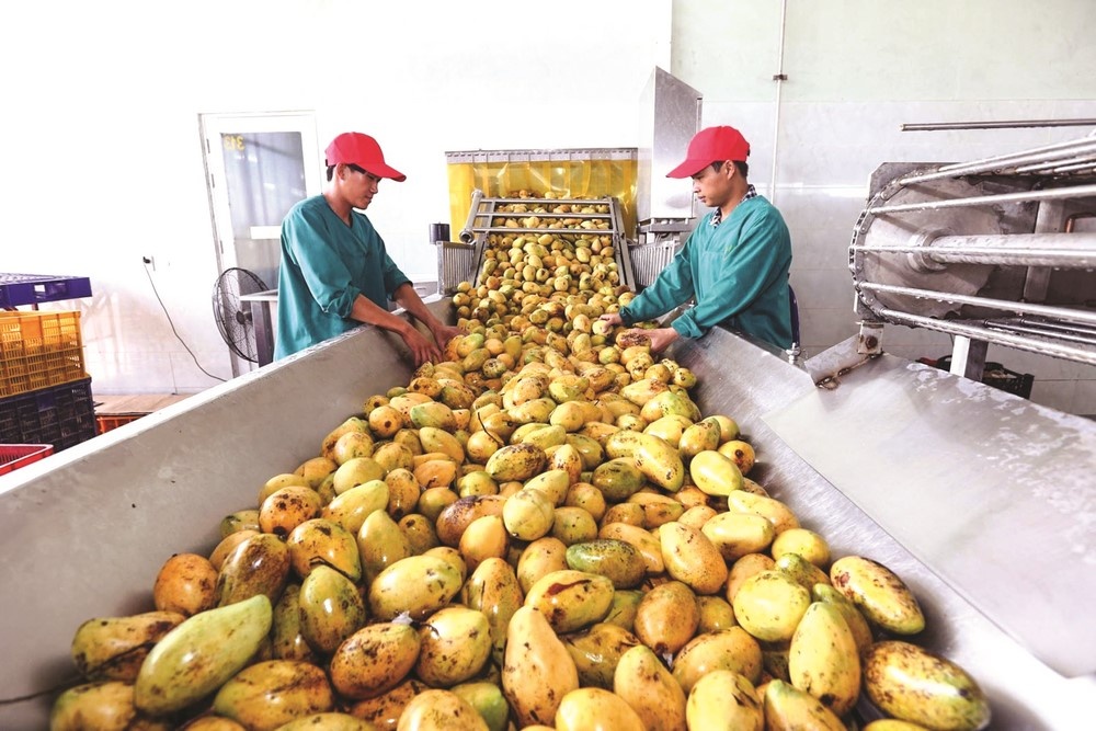 nong san ra soat bat song cac thi truong