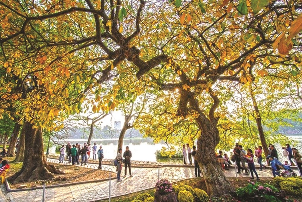 dich benh thu thach suc ben du lich viet