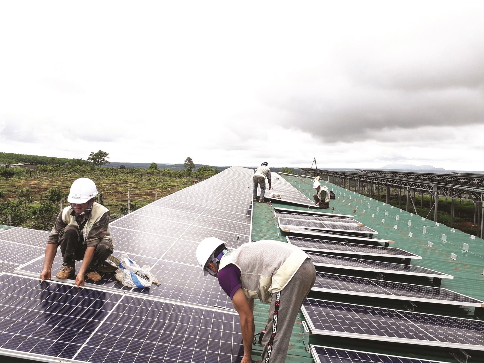 Điện mặt trời phủ kín đất trang trại dien mat troi phu kin dat trang trai