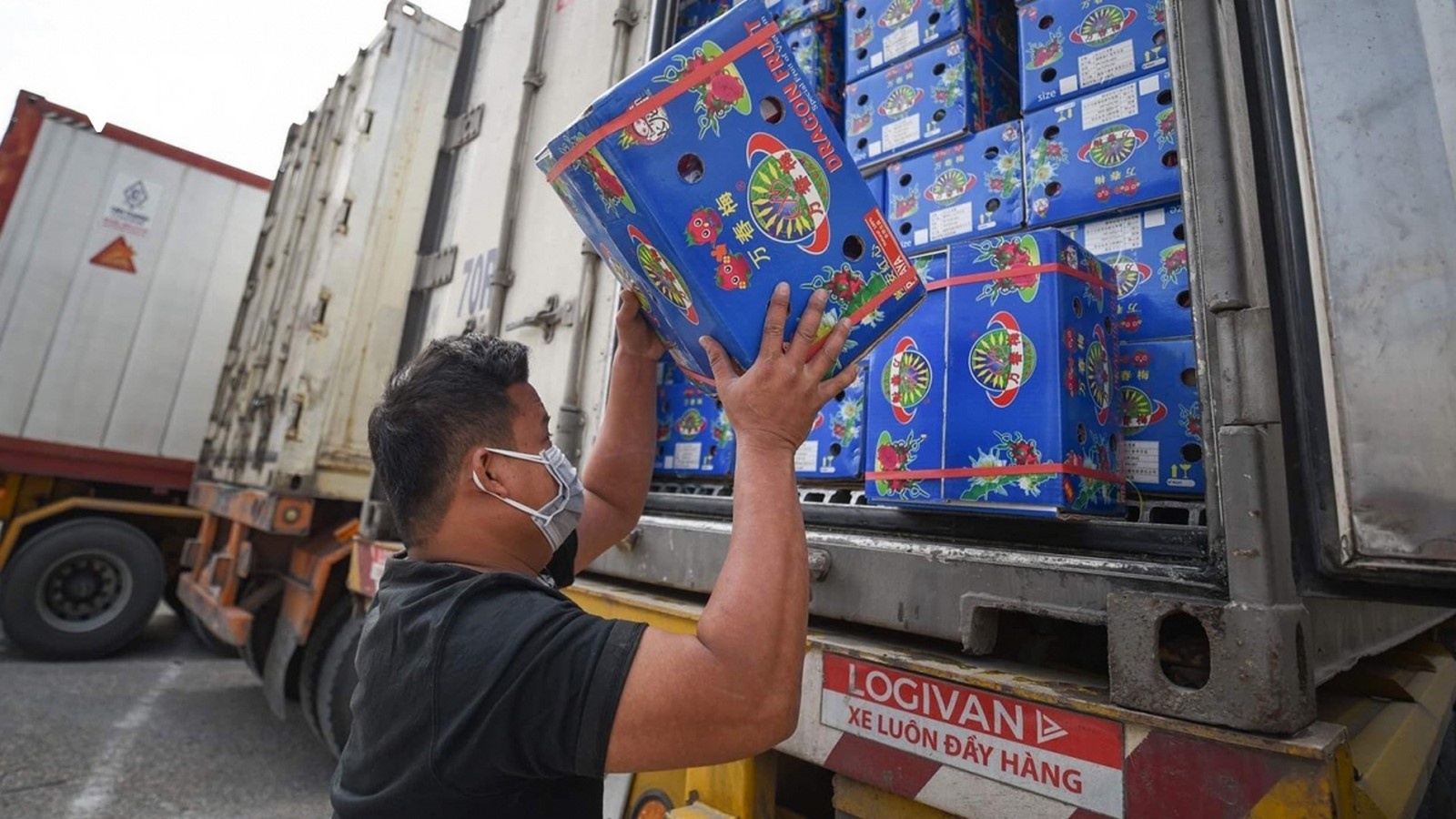 tin hieu tich cuc tu xuat khau rau qua