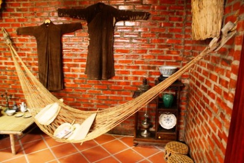 Quạt mo cau Quạt mo cau