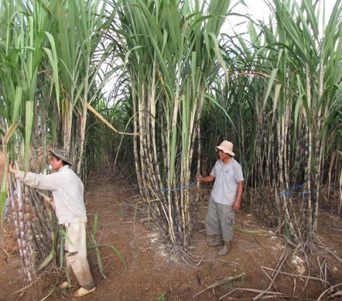 Đầu tư ra nước ngoài: Cơ hội và thách thức