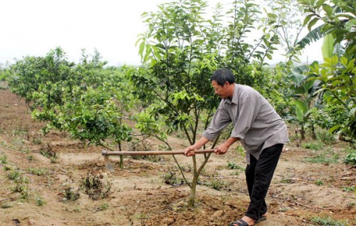 Niềm vui trên những nẻo đường quê Bác