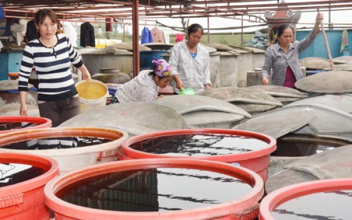 Vươn khơi bám biển từ đồng vốn chính sách