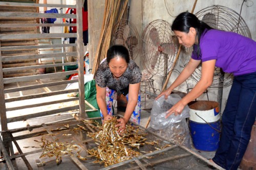 Vươn khơi bám biển từ đồng vốn chính sách