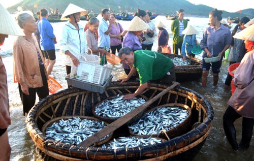 Vươn khơi bám biển từ đồng vốn chính sách