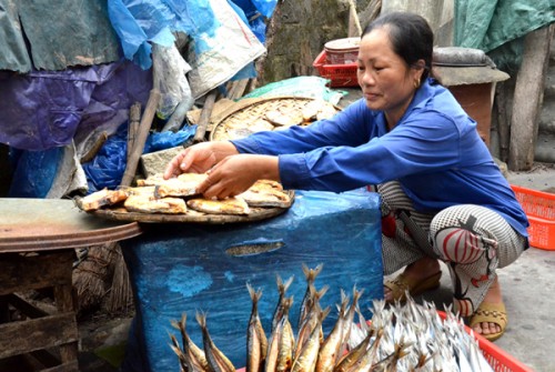 Vươn khơi bám biển từ đồng vốn chính sách